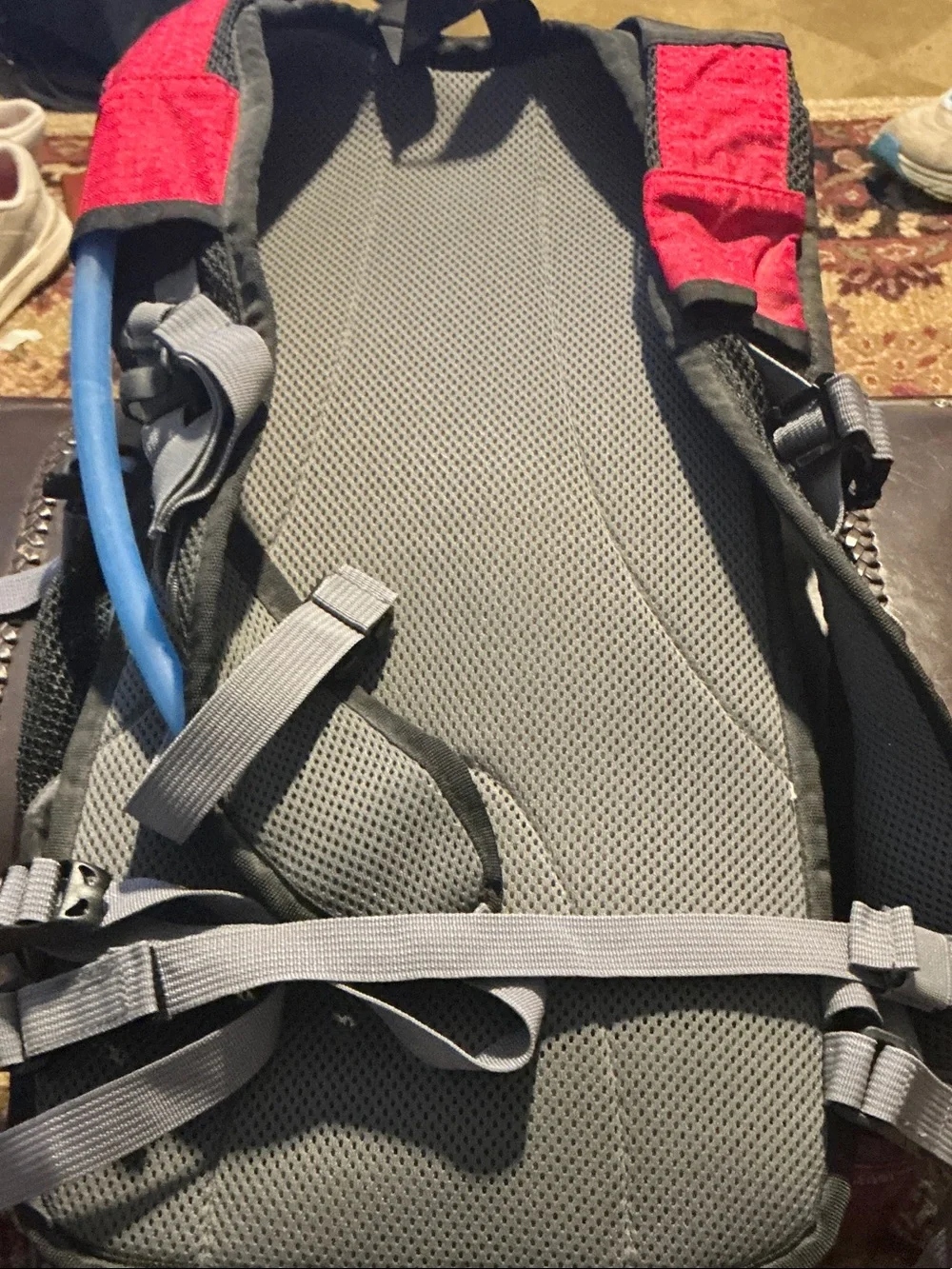 Jansport Stinger Red and Gray Men's Backpack